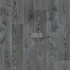 Линолеум Tarkett Фаворит Carter 4 фото 1 | FLOORDEALER